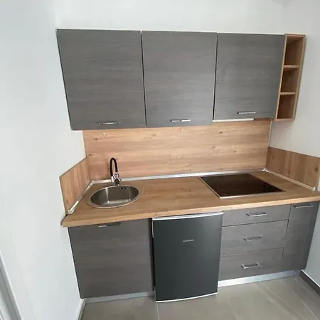 Apartment Dvorski