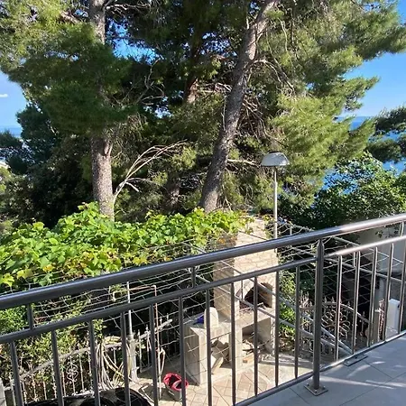 Dvorski Baska Voda