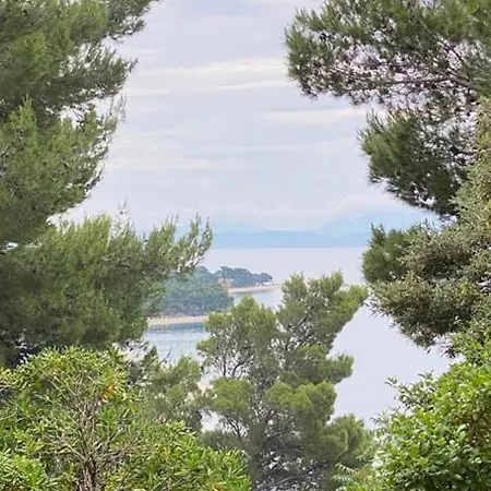 Dvorski Baska Voda