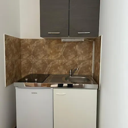 Apartment Dvorski